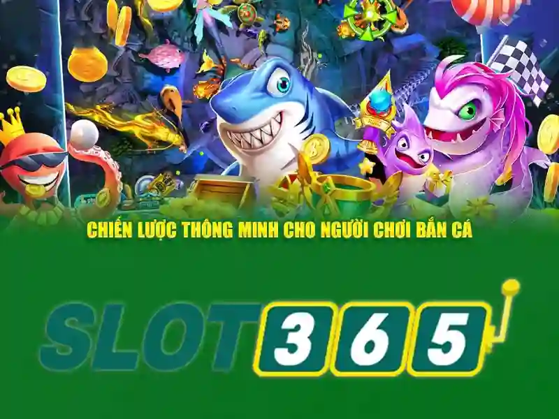 Trải nghiệm người dùng và phản hồi cộng đồng
