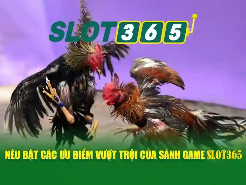 slot365 login và hành trình trải nghiệm Slot365 Go88