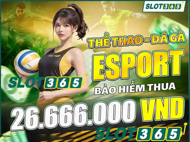 Các sản phẩm và dịch vụ cốt lõi: ứng dụng thực tế của slot365.