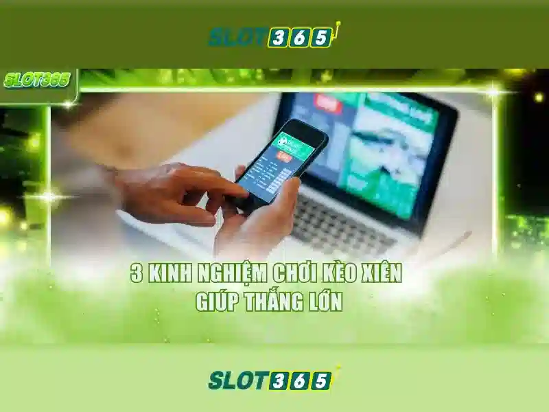 Sản phẩm và dịch vụ chính: ứng dụng slot365 apk