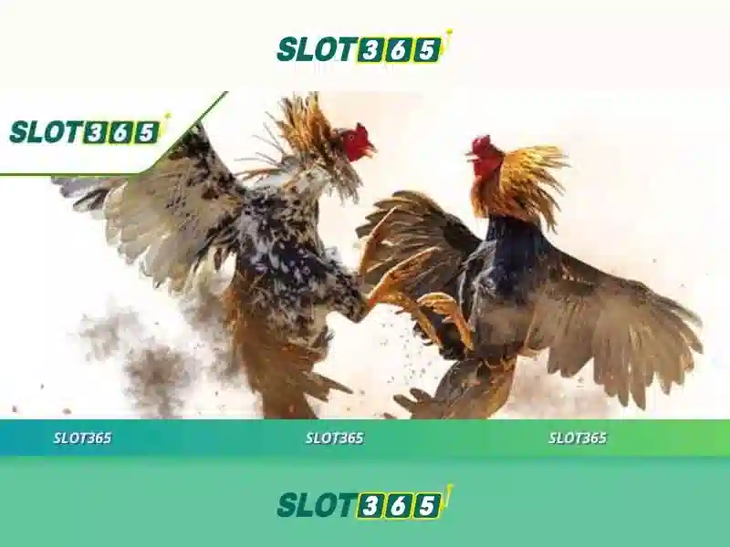 <!--IMG_PLACEHOLDER alt>Bảo mật và chăm sóc khách hàng Slot365-->
