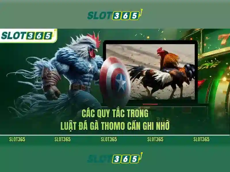 slot365 com1 – Tổng quan và định hướng phát triển Go88