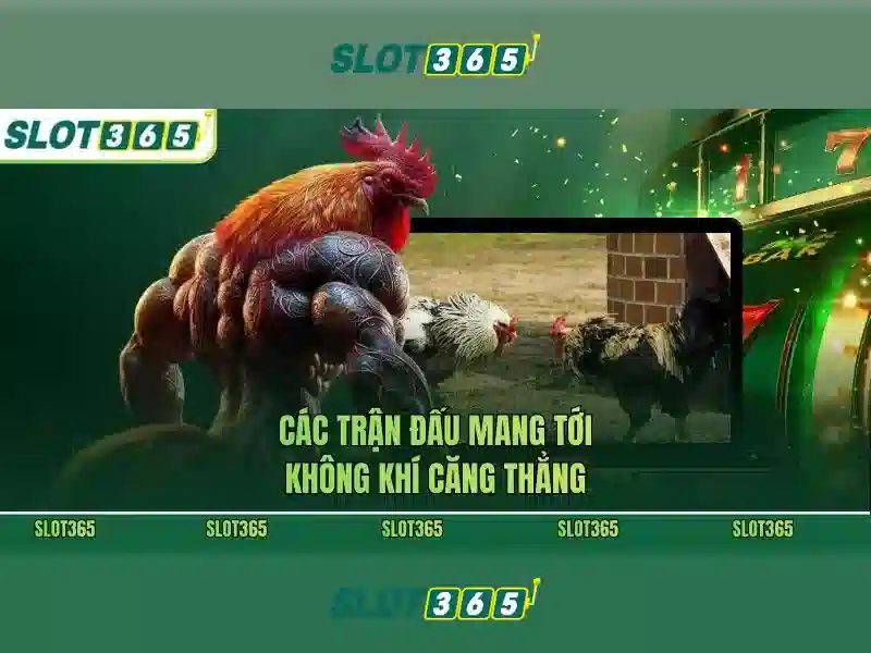 Đăng Nhập