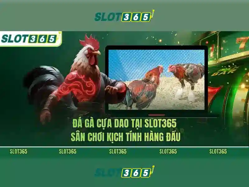 Các trò chơi nổi bật tại Slot365\n<p>Danh mục trò chơi đa dạng từ các máy slot cổ điển, video slots cho đến các game có tính năng đổi thưởng và jackpot lớn. Người chơi có thể lọc theo nhà phát triển, chủ đề hoặc mức cược để tìm ra trải nghiệm phù hợp.</p>\n<h2>Khuyến mại và bảo mật</h2>\n<p>Slot365 thường xuyên cung cấp bonus chào đón, vòng quay miễn phí và chương trình khách hàng thân thiết. Bảo mật thông tin được đảm bảo bằng công nghệ mã hóa SSL và tuân thủ các chuẩn quốc tế.</p> Các trò chơi nổi bật tại Slot365\n<p>Danh mục trò chơi đa dạng từ các máy slot cổ điển, video slots cho đến các game có tính năng đổi thưởng và jackpot lớn. Người chơi có thể lọc theo nhà phát triển, chủ đề hoặc mức cược để tìm ra trải nghiệm phù hợp.</p>\n<h2>Khuyến mại và bảo mật</h2>\n<p>Slot365 thường xuyên cung cấp bonus chào đón, vòng quay miễn phí và chương trình khách hàng thân thiết. Bảo mật thông tin được đảm bảo bằng công nghệ mã hóa SSL và tuân thủ các chuẩn quốc tế.</p>