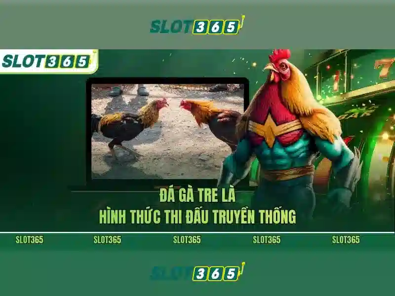 Slot365 - Nền tảng trò chơi slot trực tuyến hàng đầu