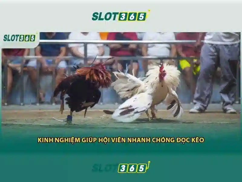 Slot365 - Tổng quan về nền tảng slot và trò chơi trực tuyến 1 Đăng Nhập