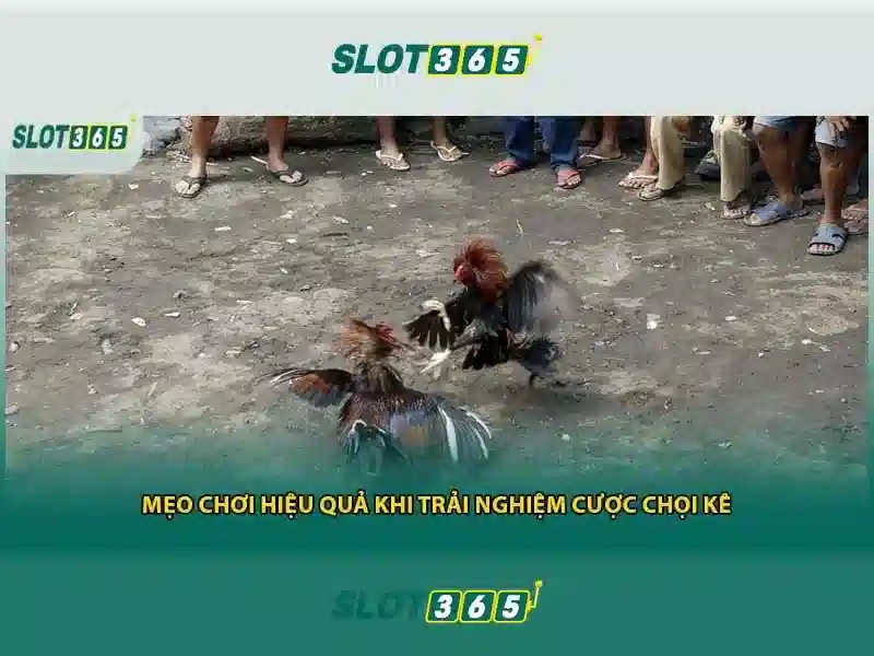 Tại sao chọn Slot365
