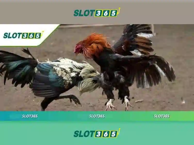 Slot365 - Nền tảng máy slot trực tuyến phổ biến 1 Đăng Nhập