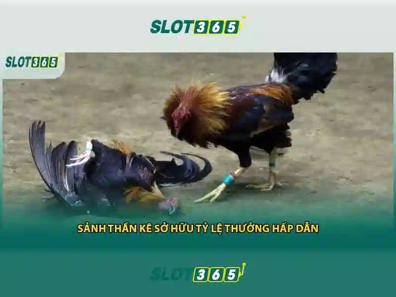 Slot365 — Tổng quan về nền tảng chơi slot trực tuyến Go88