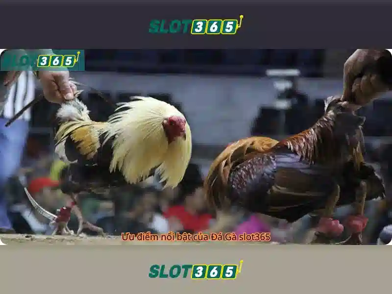 Slot365: Trải nghiệm slot trực tuyến hàng đầu Go88