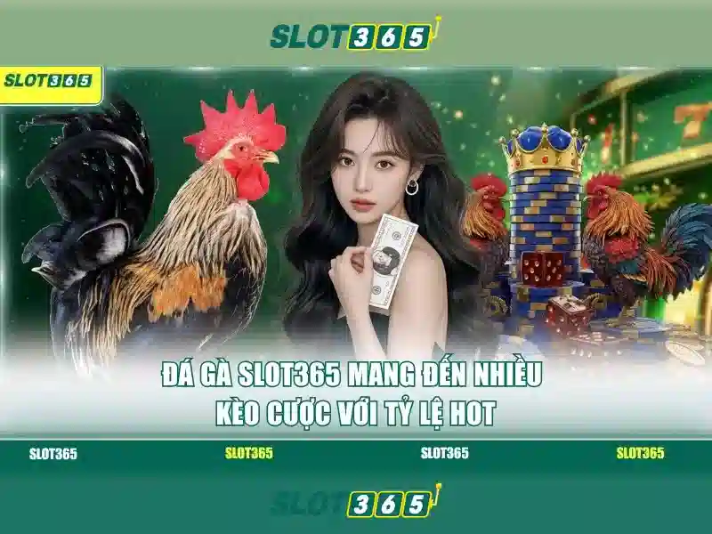 live slot365 login – Tổng quan chủ đề và giá trị cốt lõi