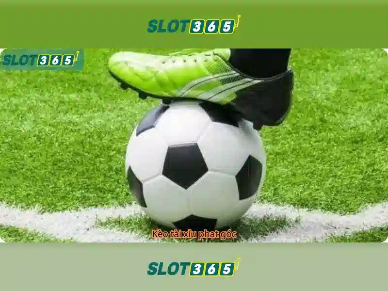 Slot365: Khám phá nền tảng slot trực tuyến đáng tin cậy Go88