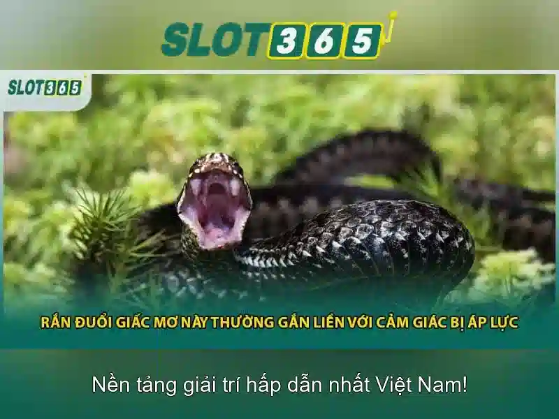 An toàn và bảo mật tại Slot365