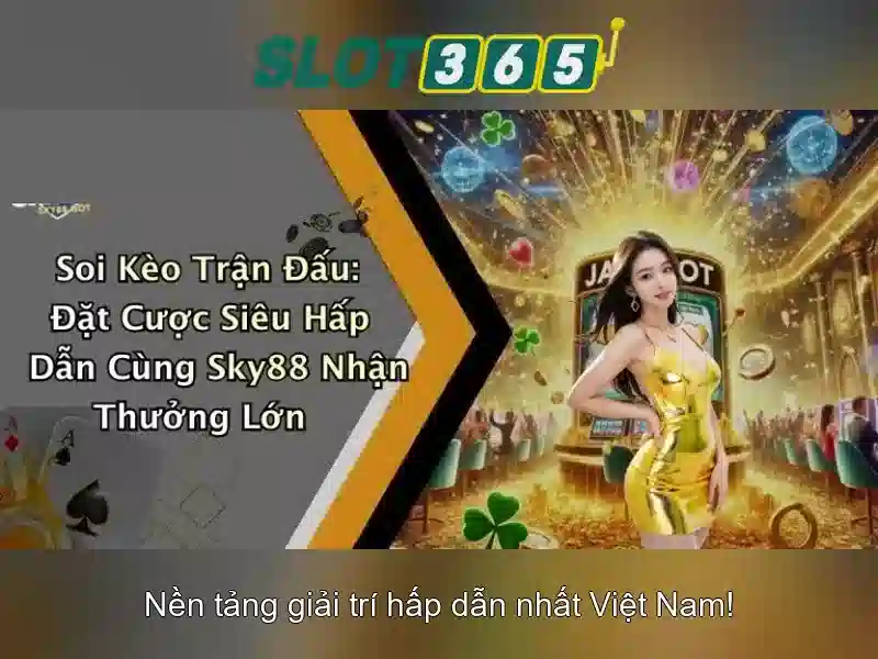 Khuyến mãi và chương trình thưởng