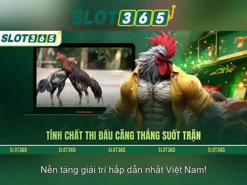 Slot365 - Nền tảng slot và trò chơi trực tuyến 1 Đăng Nhập