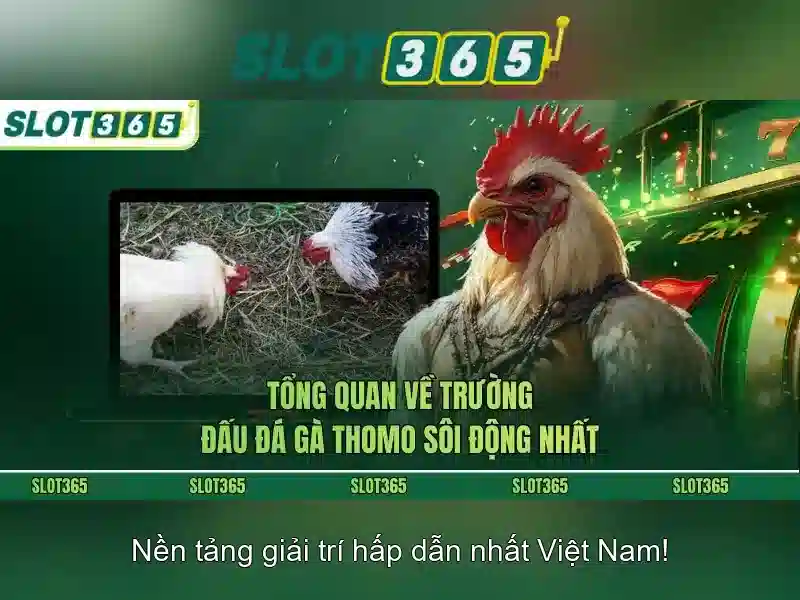 Giới thiệu Slot365 Giới thiệu Slot365