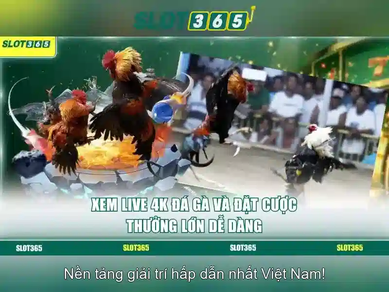 Slot365: Khám phá nền tảng máy slot trực tuyến Go88
