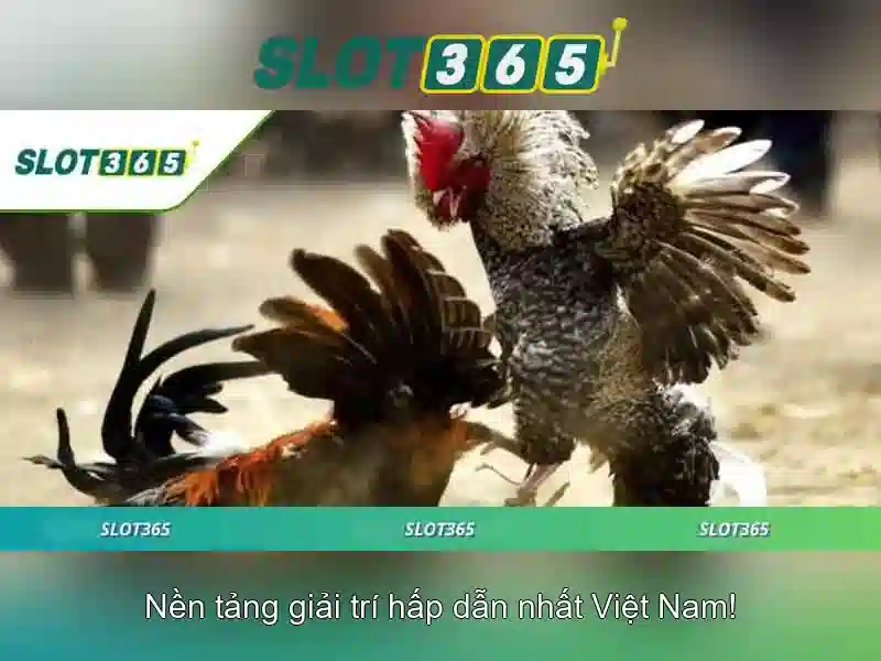 Slot365 - Nền tảng slot trực tuyến an toàn và đáng tin cậy
