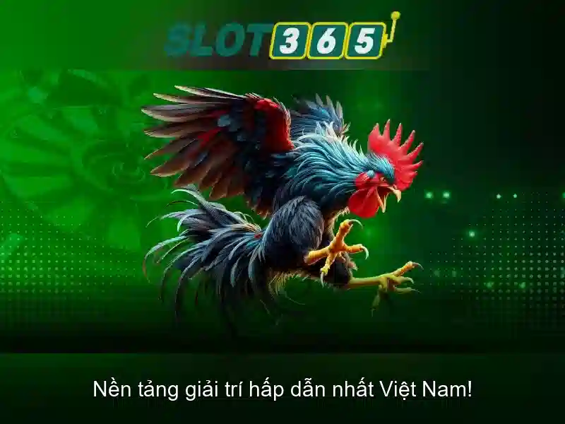 Slot365 - Khám phá nền tảng casino trực tuyến 1 Đăng Nhập