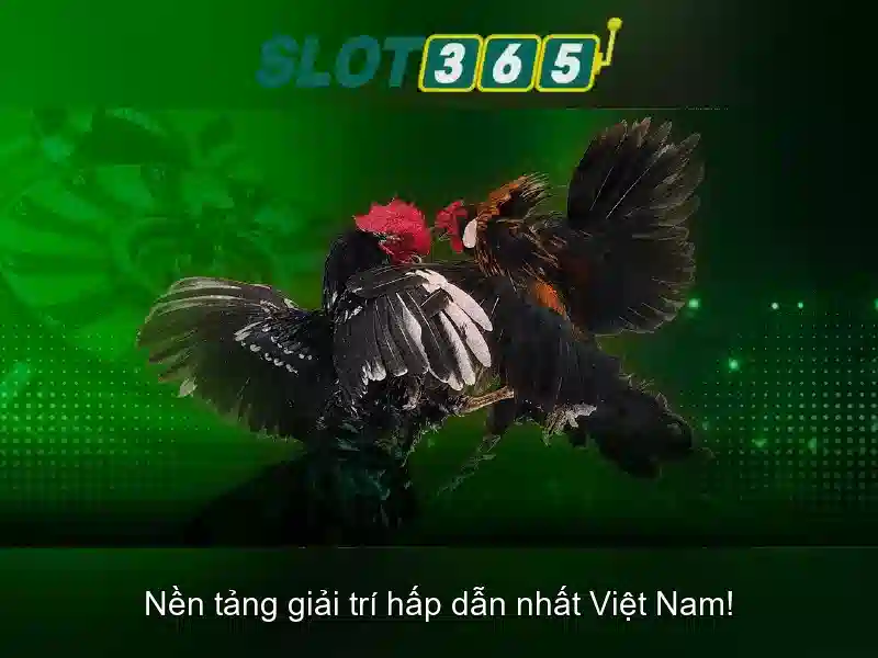Độ tin cậy và an toàn Độ tin cậy và an toàn