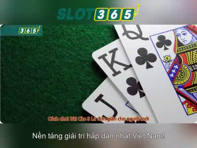 Slot365: Tổng quan về nền tảng cược trực tuyến 1 Đăng Nhập