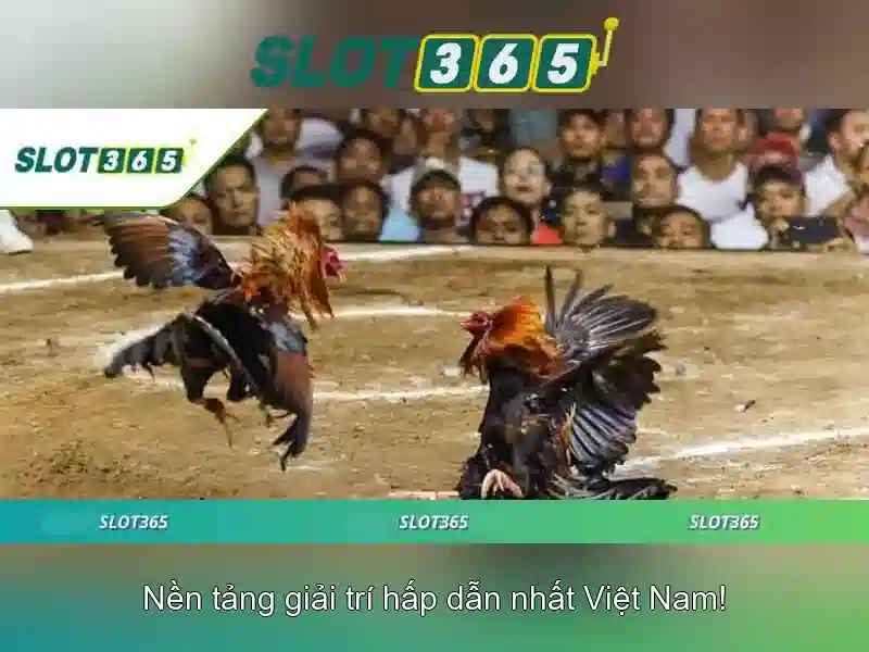 Đăng Nhập