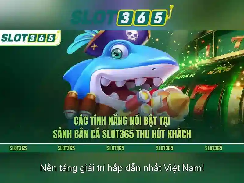 Trải nghiệm người dùng và giao diện