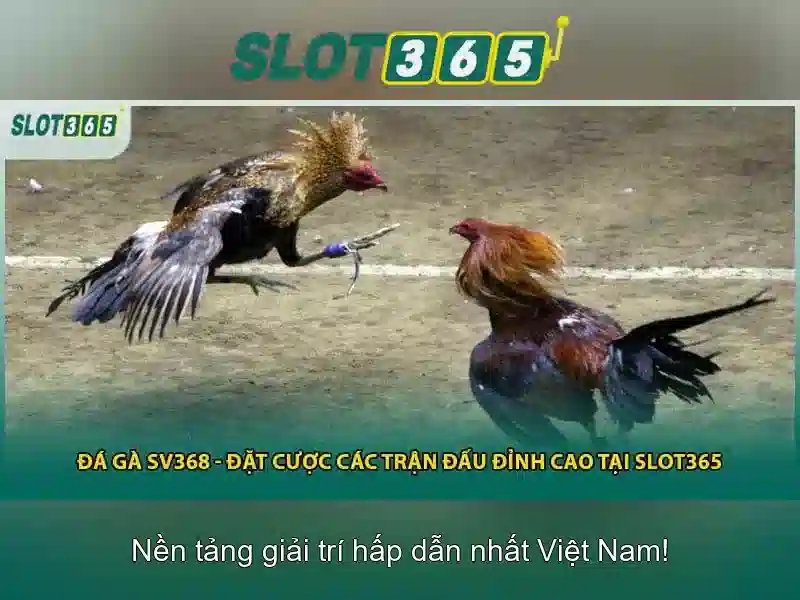 Giao diện và trải nghiệm người dùng Giao diện và trải nghiệm người dùng