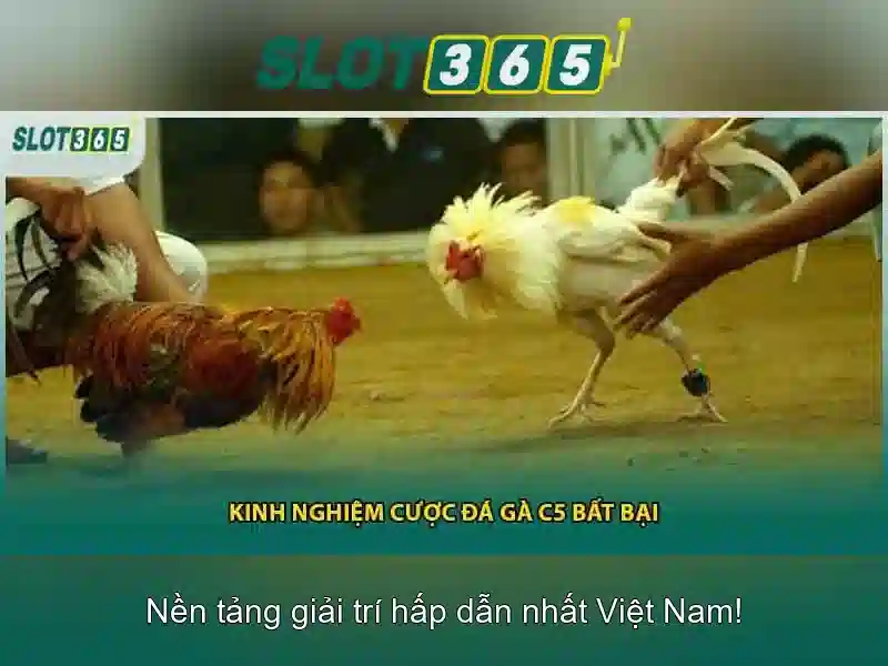 Tính năng và lợi thế khi chơi Slot365