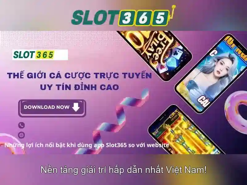 Kết luận