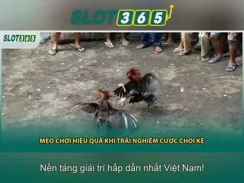 Trò chơi có tại Slot365 Trò chơi có tại Slot365