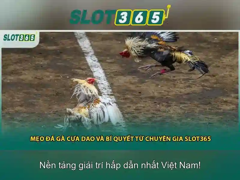 Slot365: Đánh giá nền tảng slot trực tuyến Go88