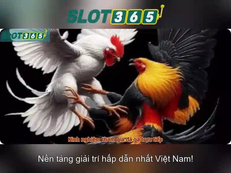 Slot365 - Tổng quan về nền tảng giải trí trò chơi slot trực tuyến Soi kèo hiệp 1