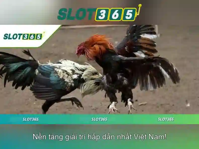 Soi kèo hiệp 1