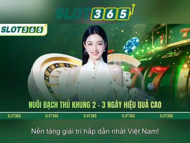 Tính năng nổi bật của Slot365