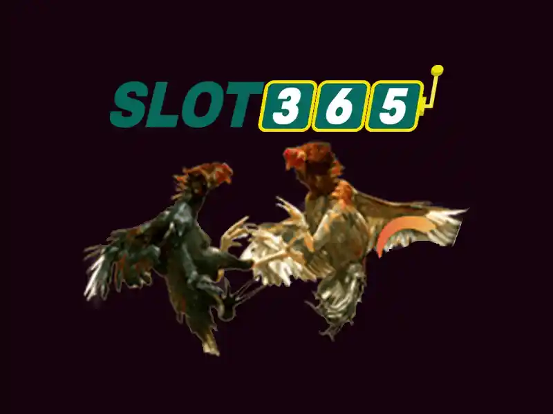 slot365 win – Nguồn gốc và sứ mệnh