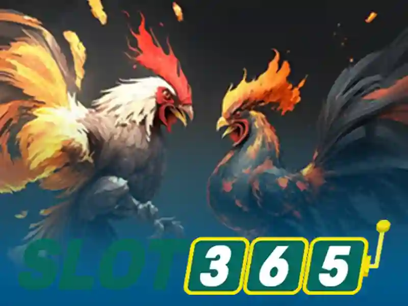 slot365. – Sản phẩm và dịch vụ chủ chốt