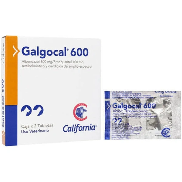 Galgocal 600 x 2 Tabletas