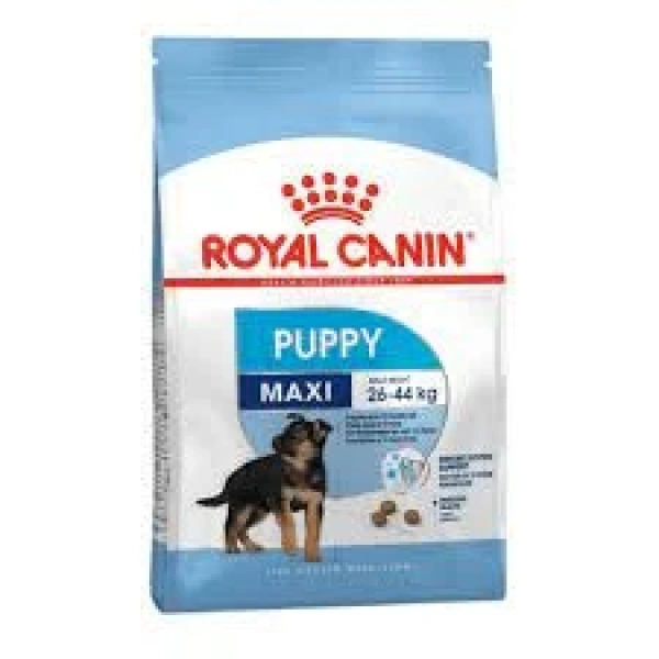 Royal canin maxi cachorro perro
