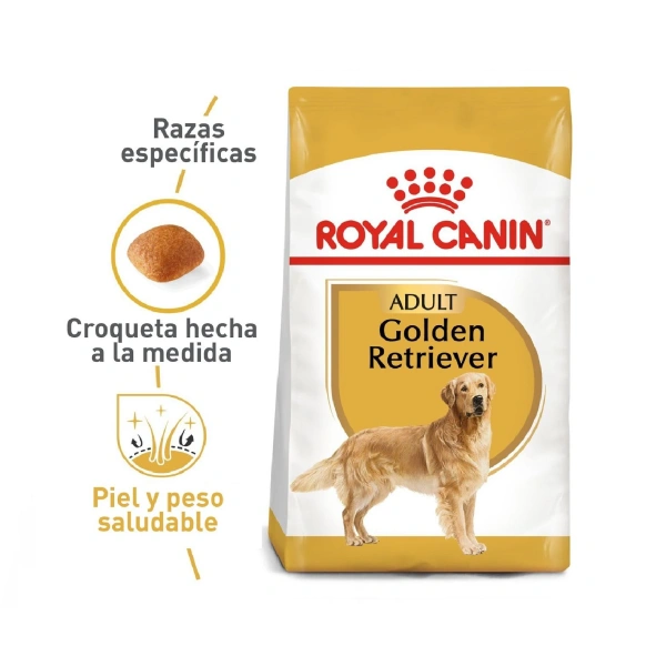 Royal canin golden retriever adulto