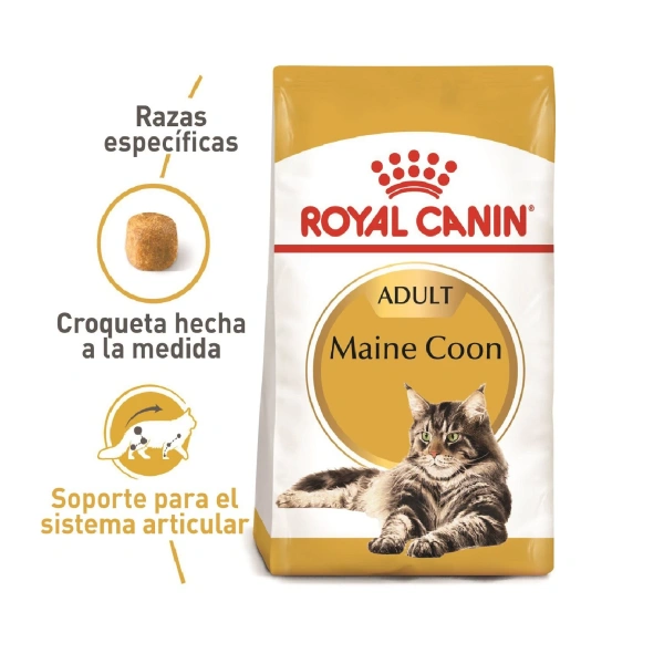 Royal canin maine coon gato