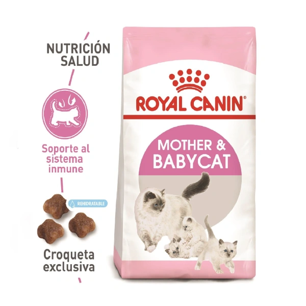 Royal canin mother and babycat gato