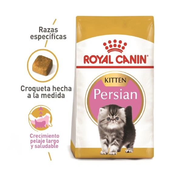 Royal canin persa kitten gatito