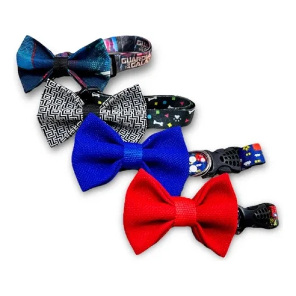 Collar con Corbatín