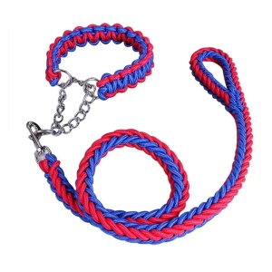 Correa con collar colores Nago