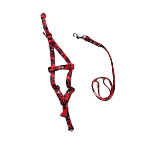 Arnes talla s