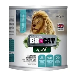 Br for cat wild lata trucha 400 g
